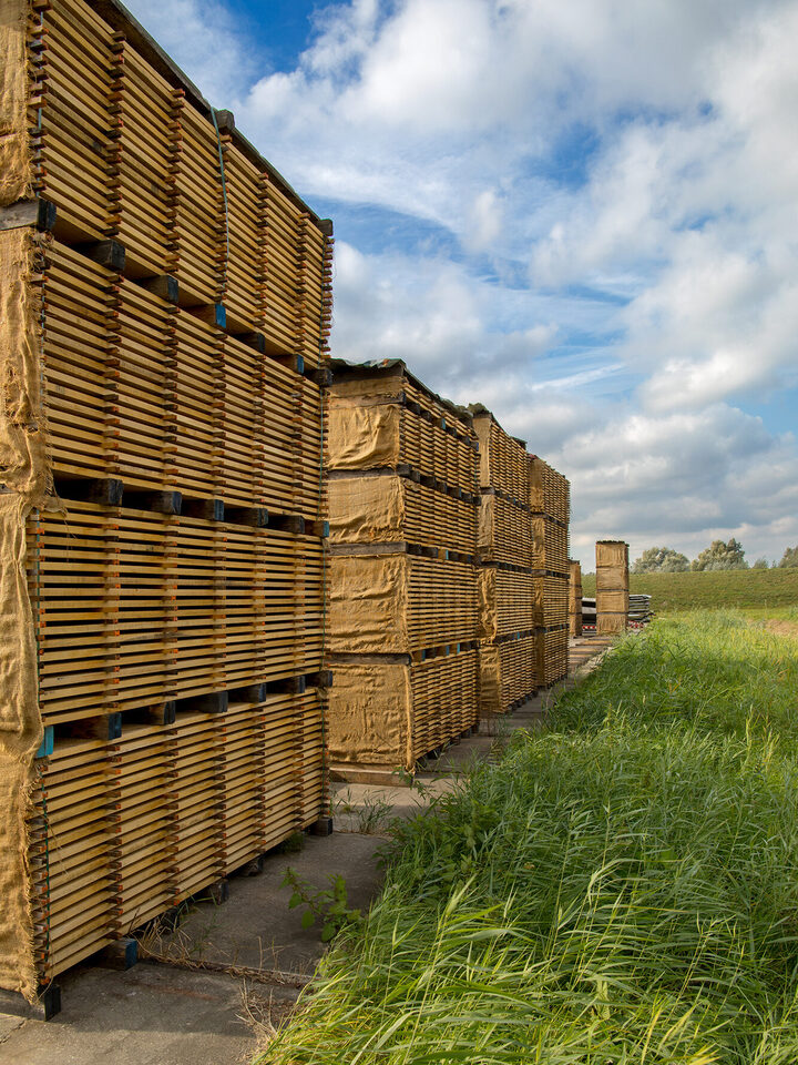 About Us_All the time necessary