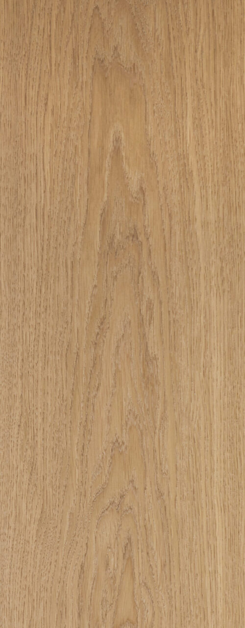 Grotto_detail3_Premier 1-bis_240