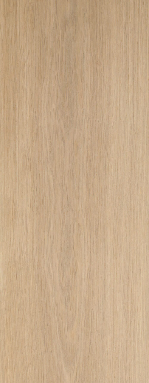 Pure_detail3_Premier 1-bis_240