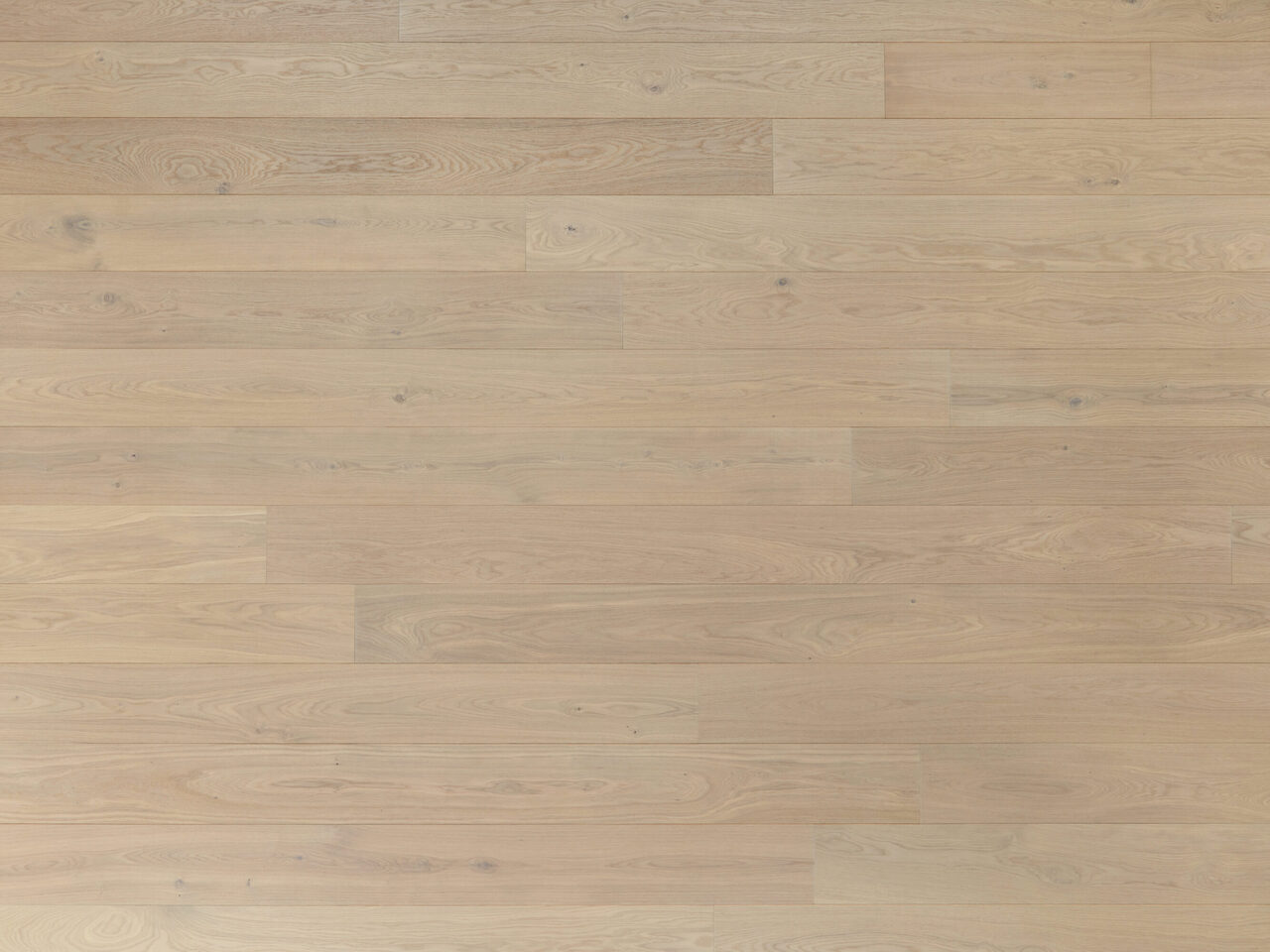 Worthy_topdown1_Premier 1-bis_180