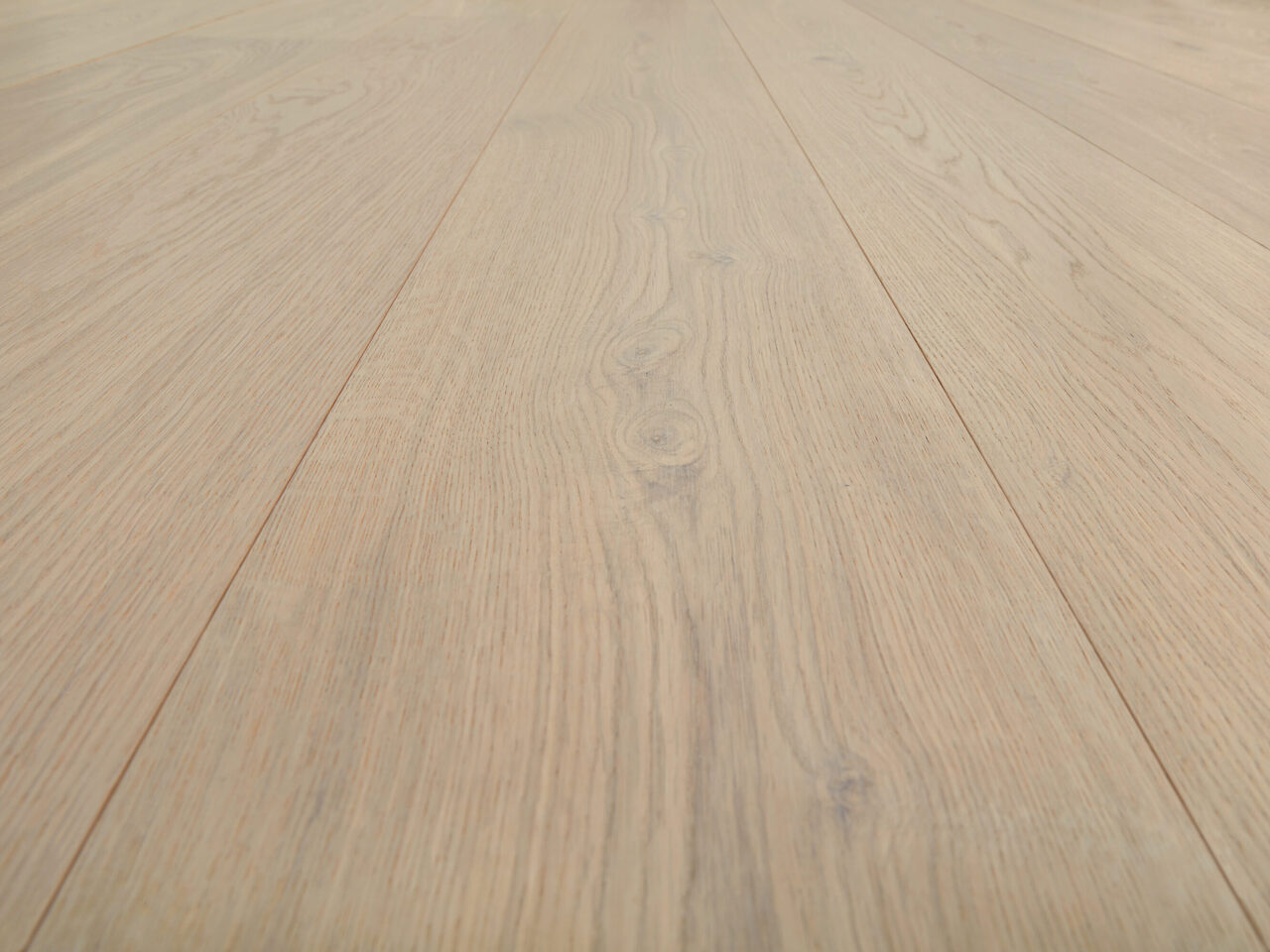 Worthy_detail1_Premier 1-bis_180