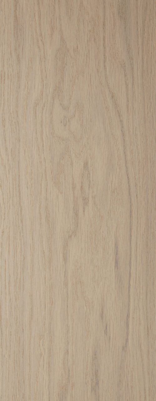 Worthy_detail3_Premier 1-bis_180