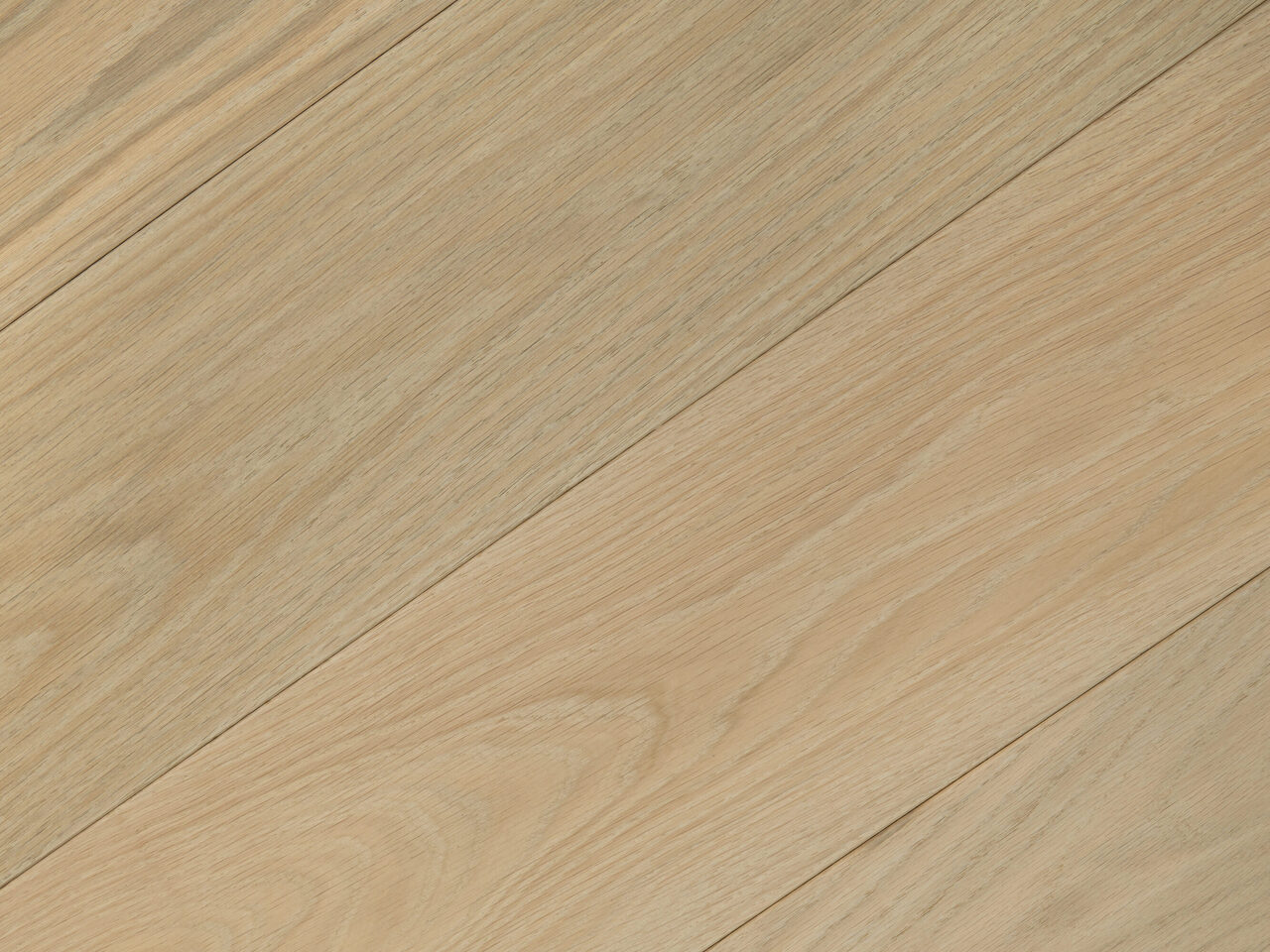 Misty_detail2_Prime_180