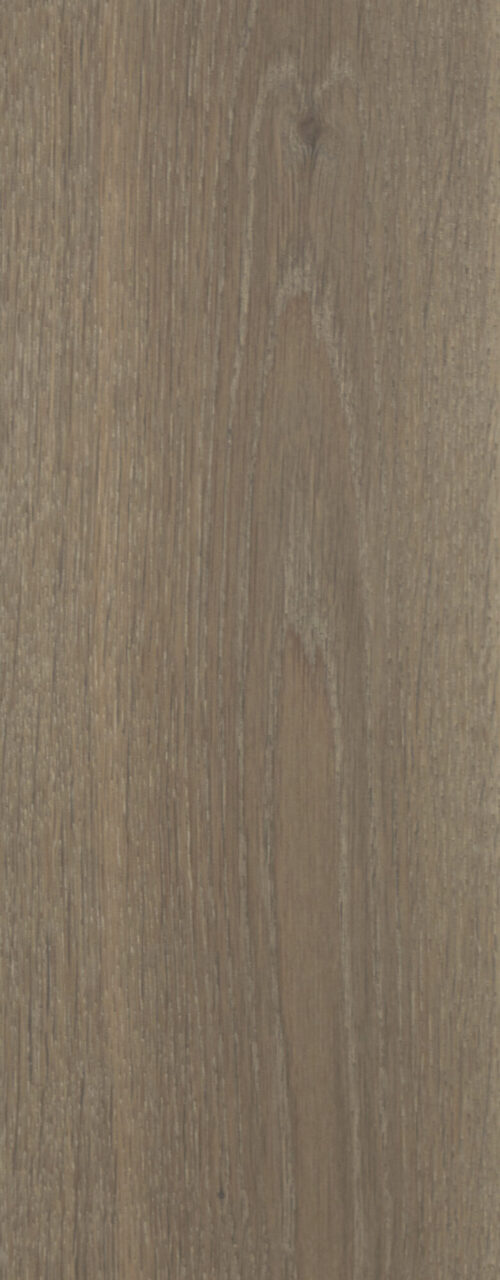 Siva_detail3_Natural_180