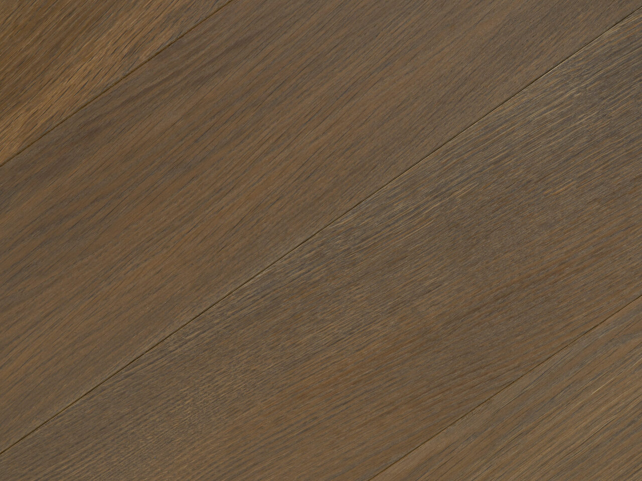 Tempest_detail2_Premier 1-bis_180