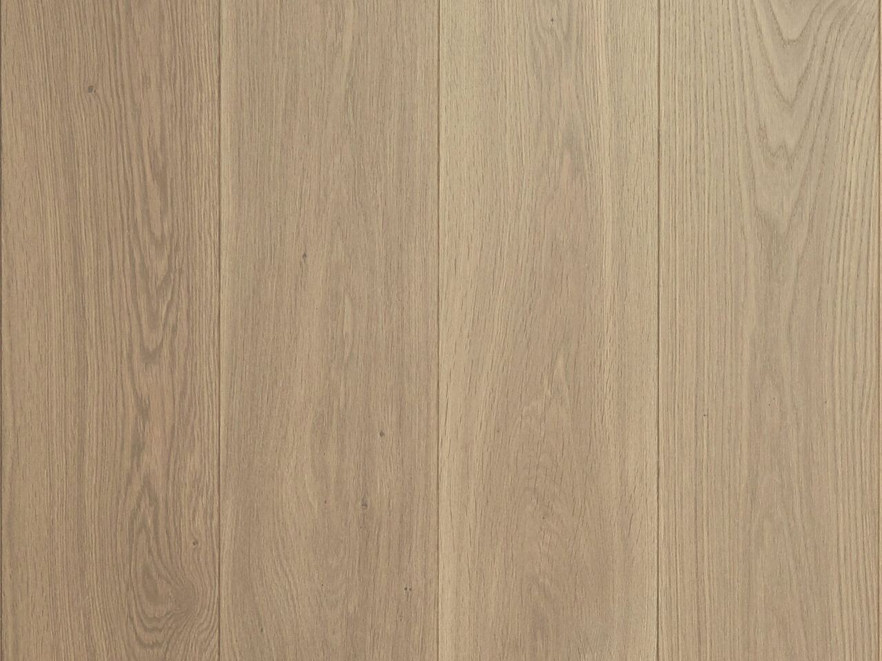 Gallant_Lite_standard_F_website