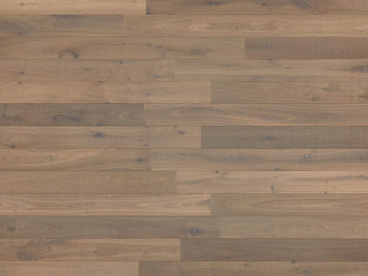 Bliss_Lite_standard_Top-down1