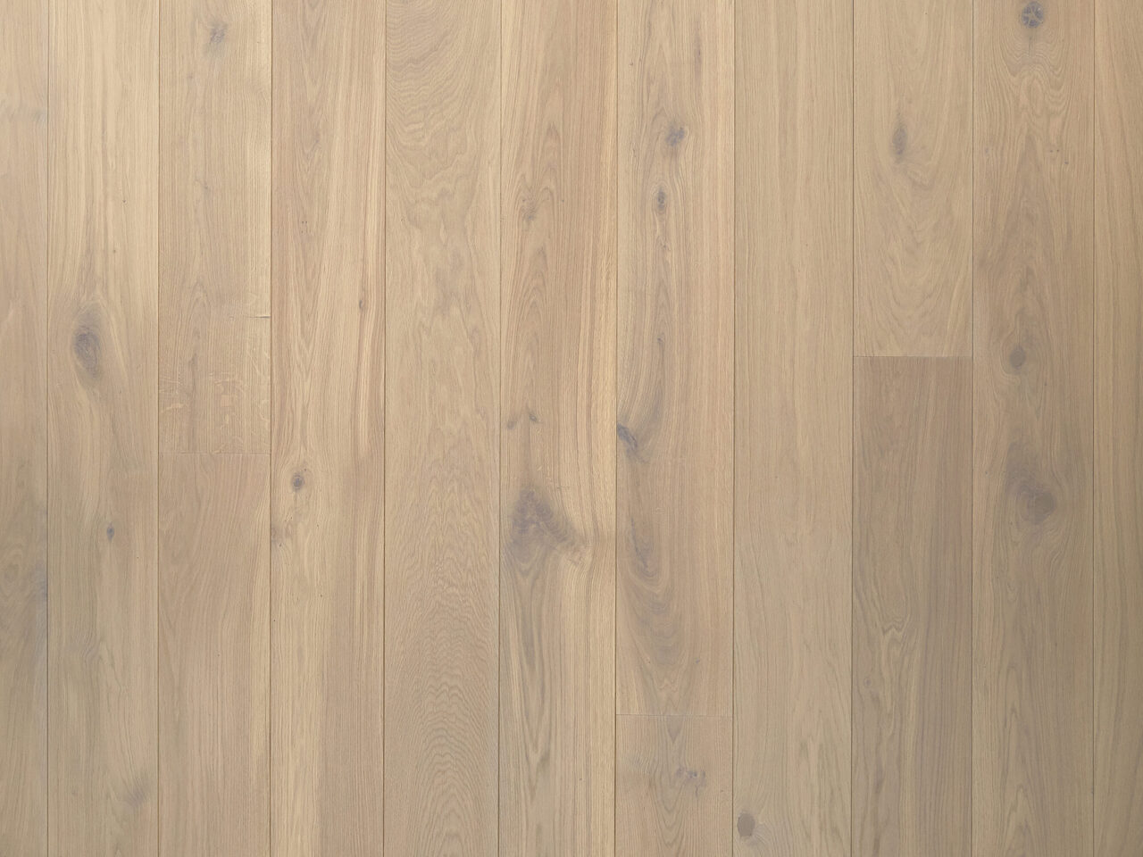 Mystic_Lite_standard_Top-down1