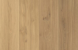 Frisk_Lite_exclusive_Top-down2