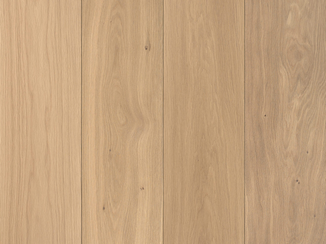 Vivid_Lite_standard_Top-down2