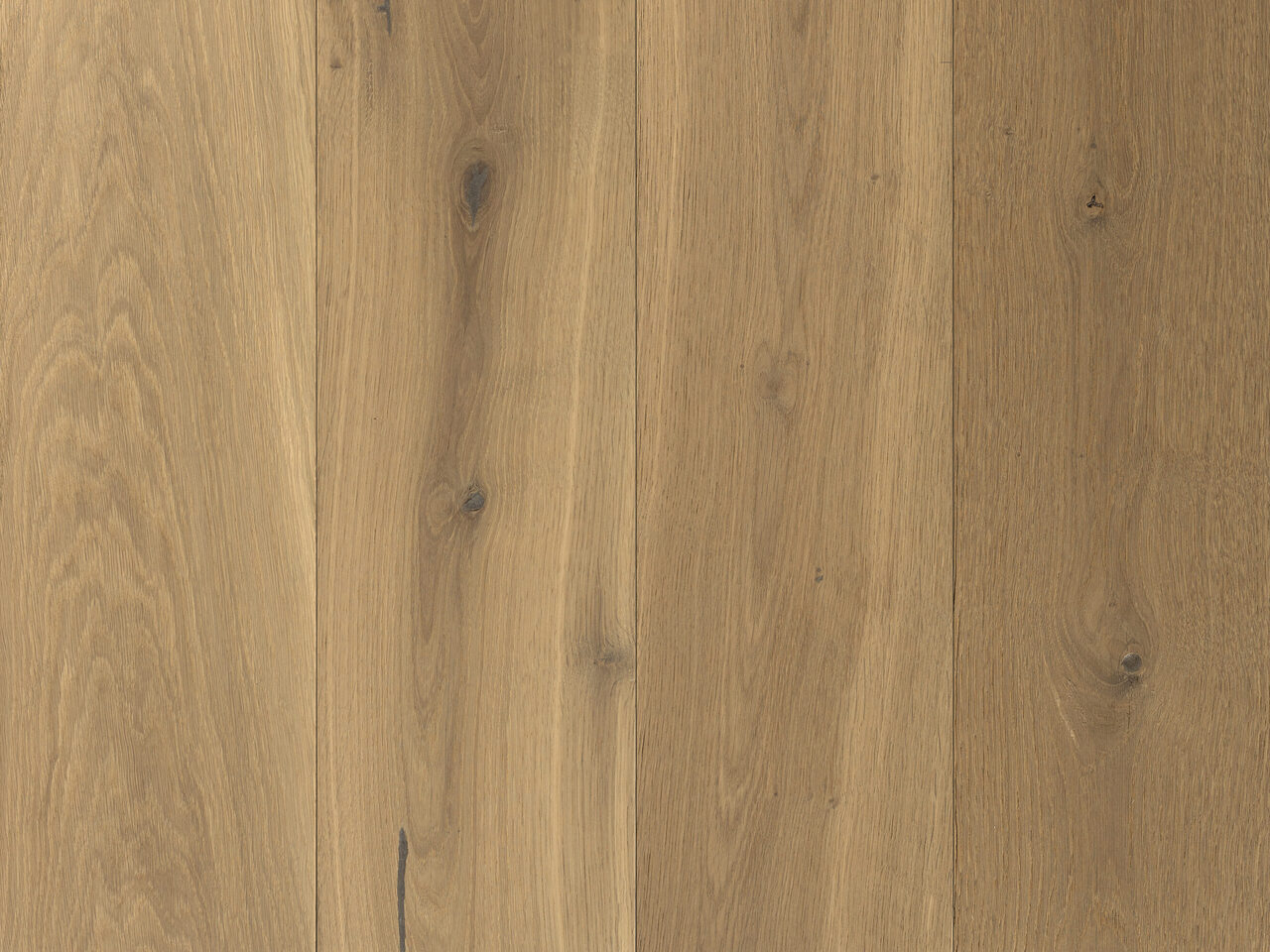 Pebble_topdown2_Classical_180