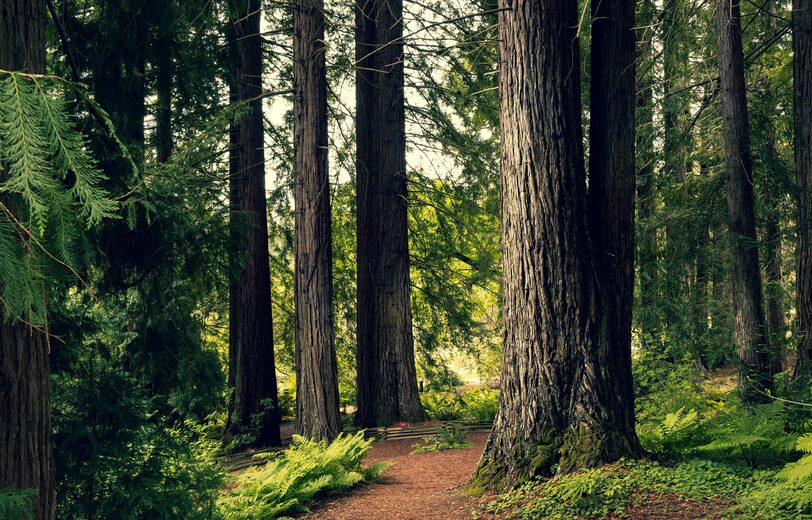 xipu-li-Wnfqu-GACC4-unsplash