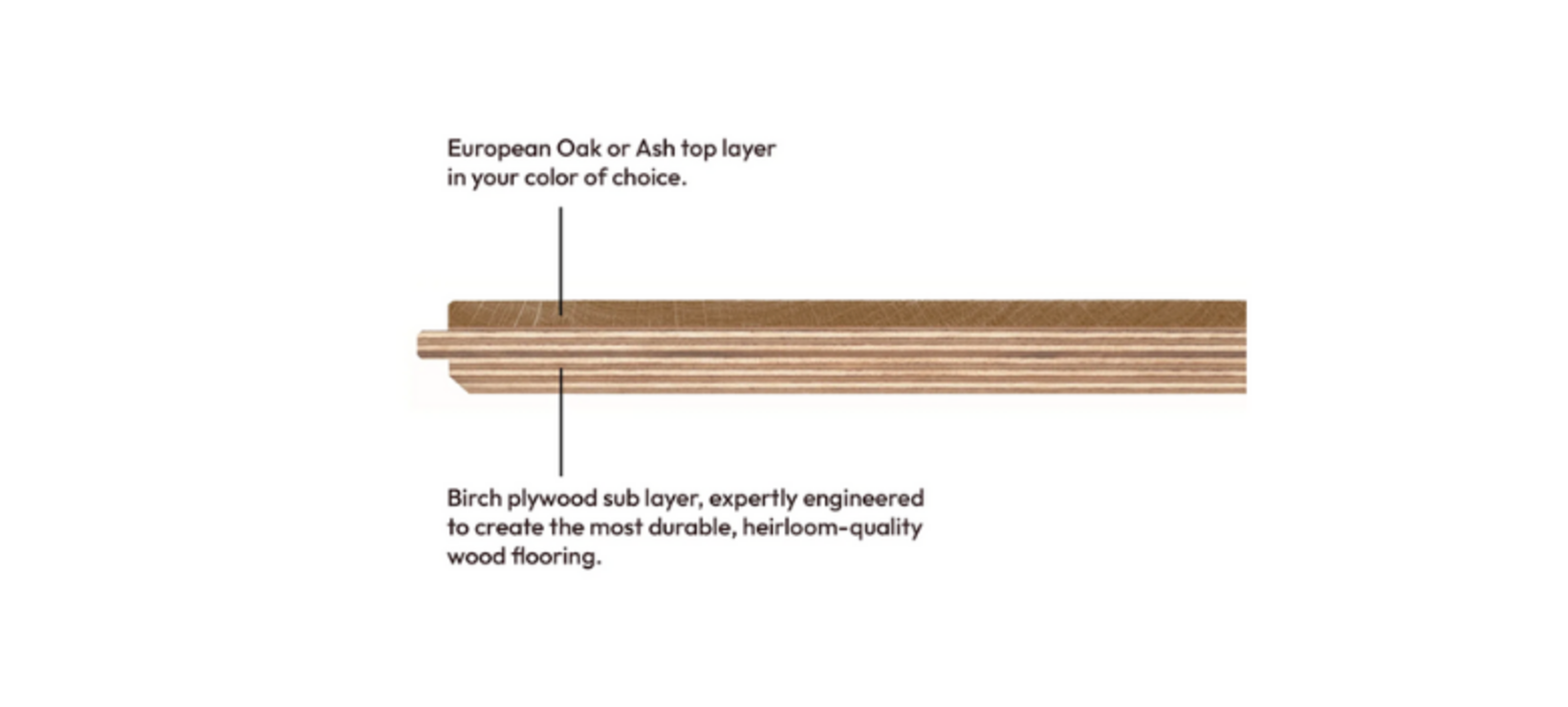 Ontwerp zonder titel (2)