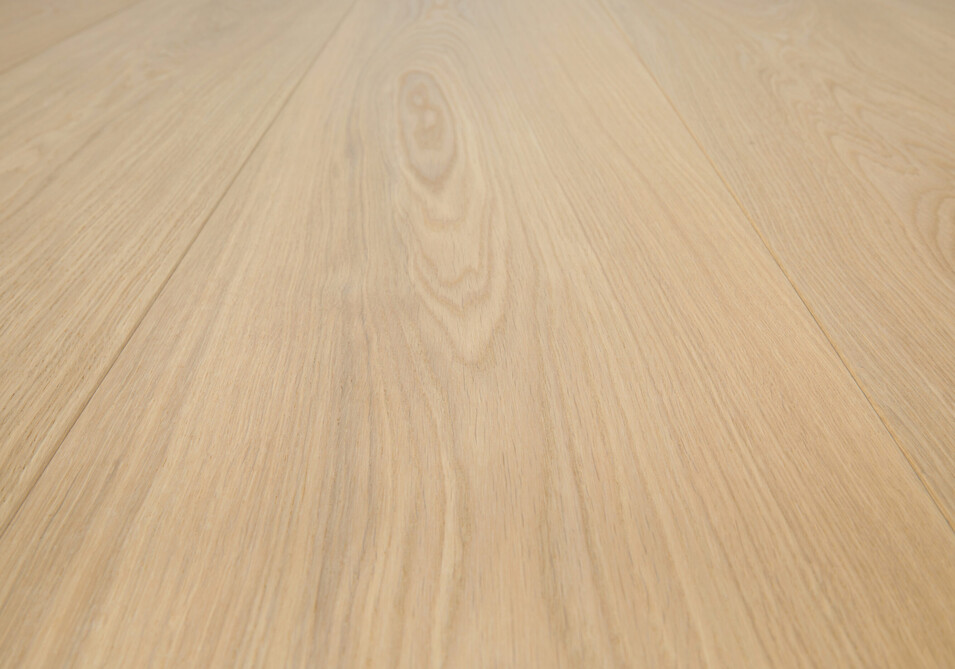 Pure_detail1_Premier 1-bis_240