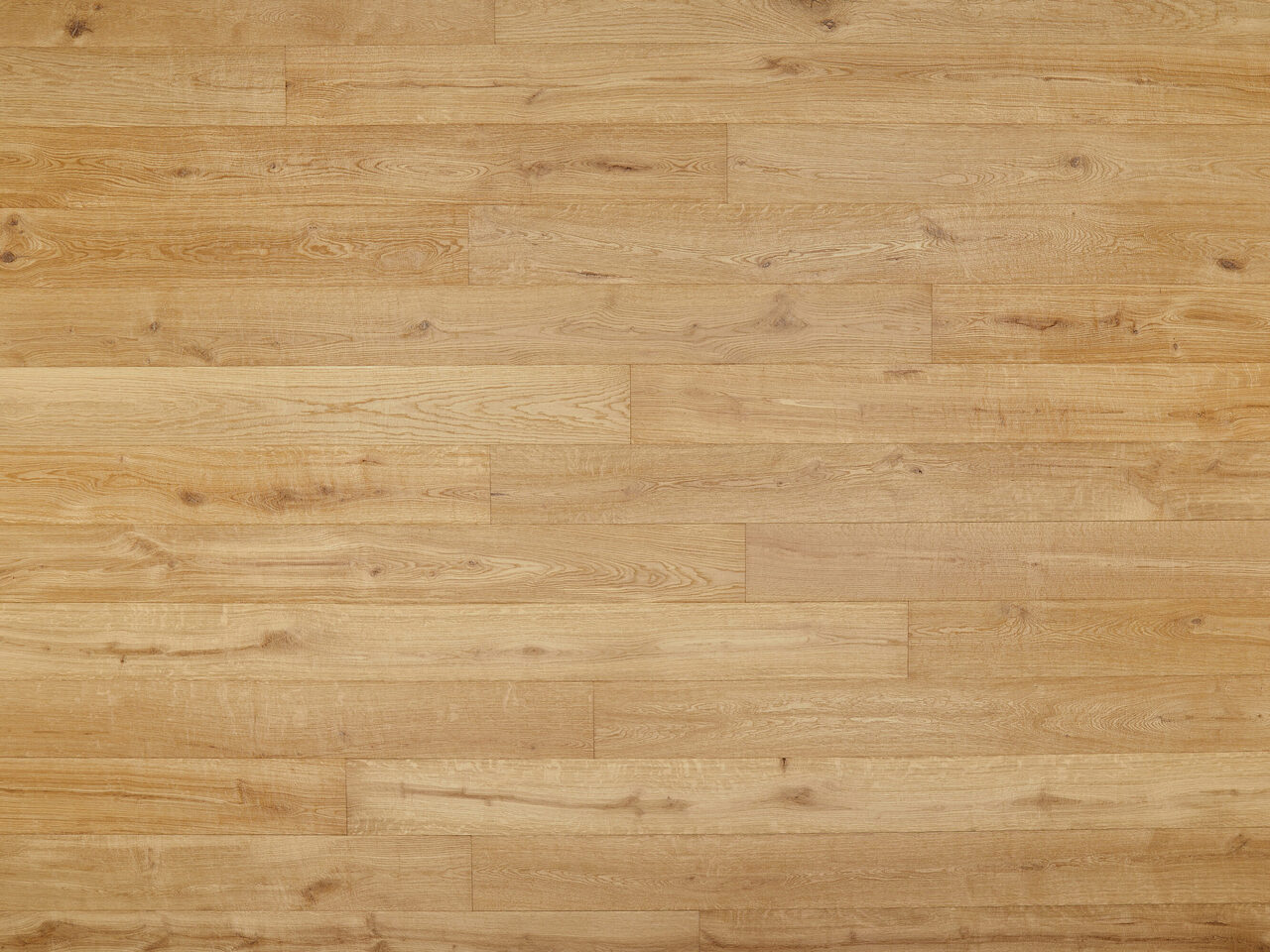 Hakwood_Saumur_topdown