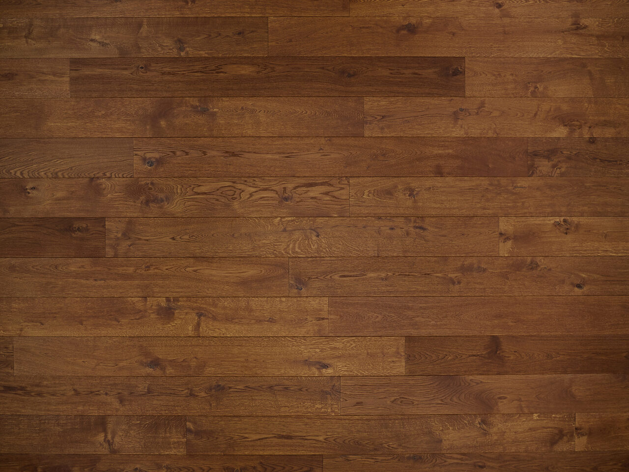Umber_topdown1_RF