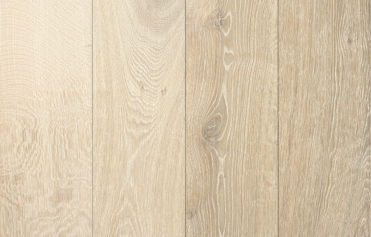 3318 - CZS - Vedetta - PR1222501997 - 2022.09.13