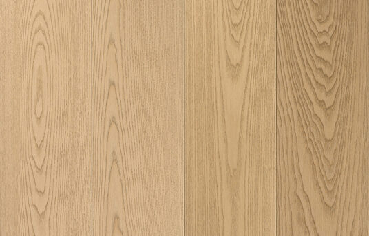 3401 - WIT - Mayenne - PR1219501812 - 2019.06.11