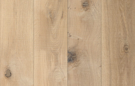 0577 - CZS - Vivaldi - 2016.04.22 - front_1