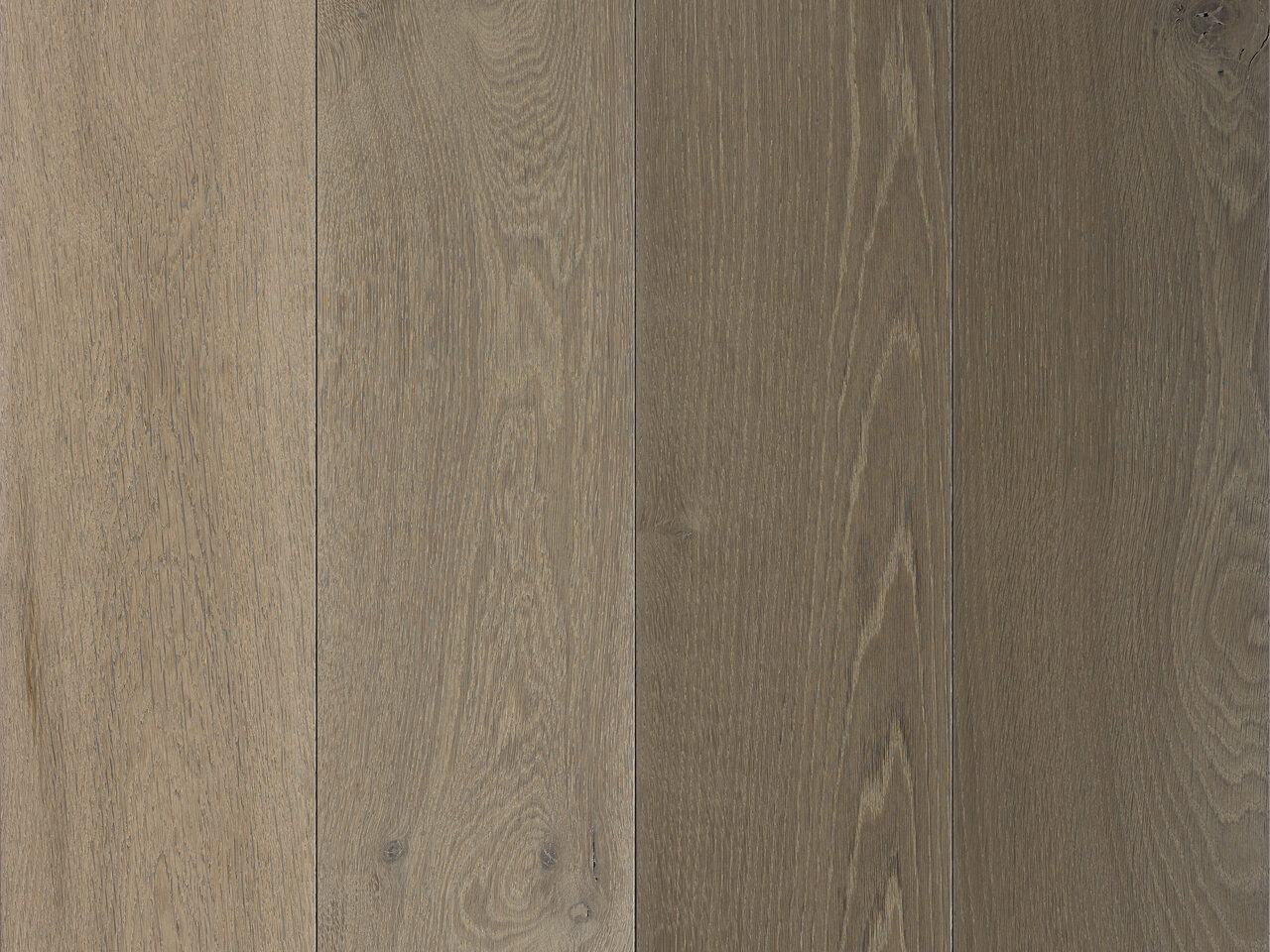 3081 - RUS - Siva - PR1221501414 - 2021.06.08