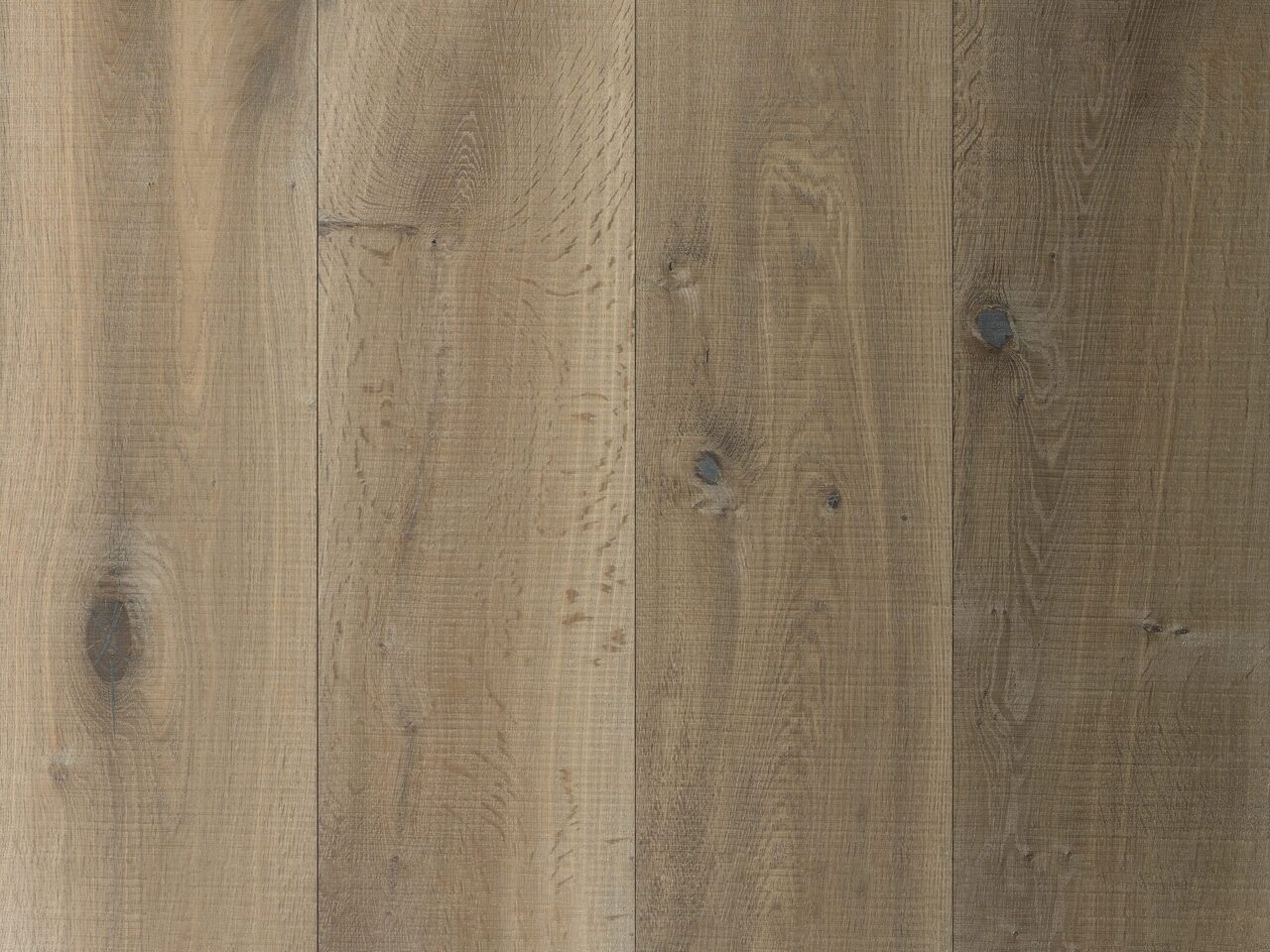 1521 - CZS - Forza - 20163731.3 - 2016.11.09 - front - afgeleide kopie