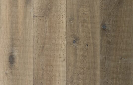 1521 - CZS - Forza - 20163731.3 - 2016.11.09 - front - afgeleide kopie