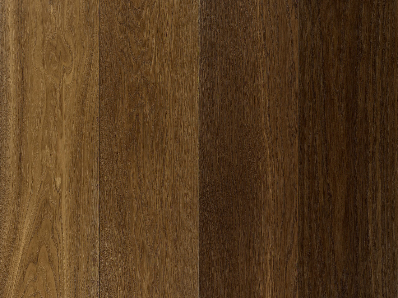 1181 - PRE - Promise - 2016.05.09 - front