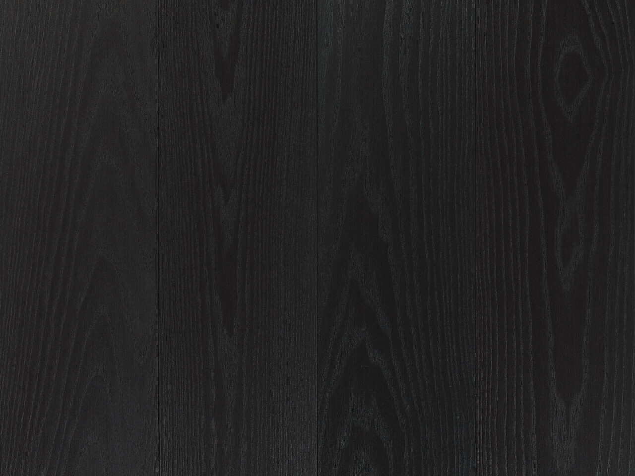 3405 - WIT - Segura - PR1222501749 - 2022.06.28