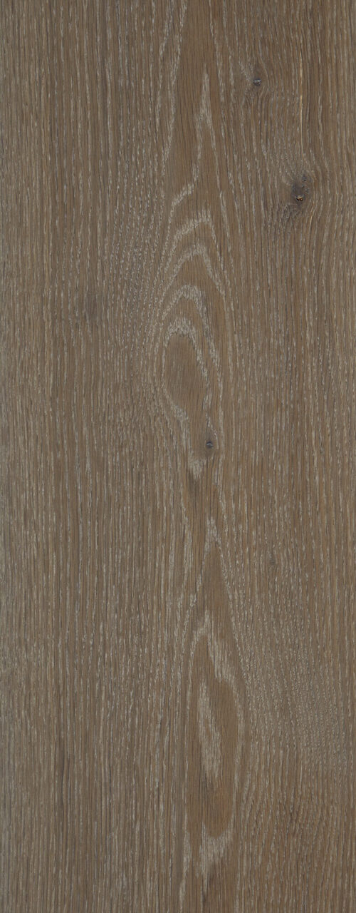 Sincere_detail3_Classical_240