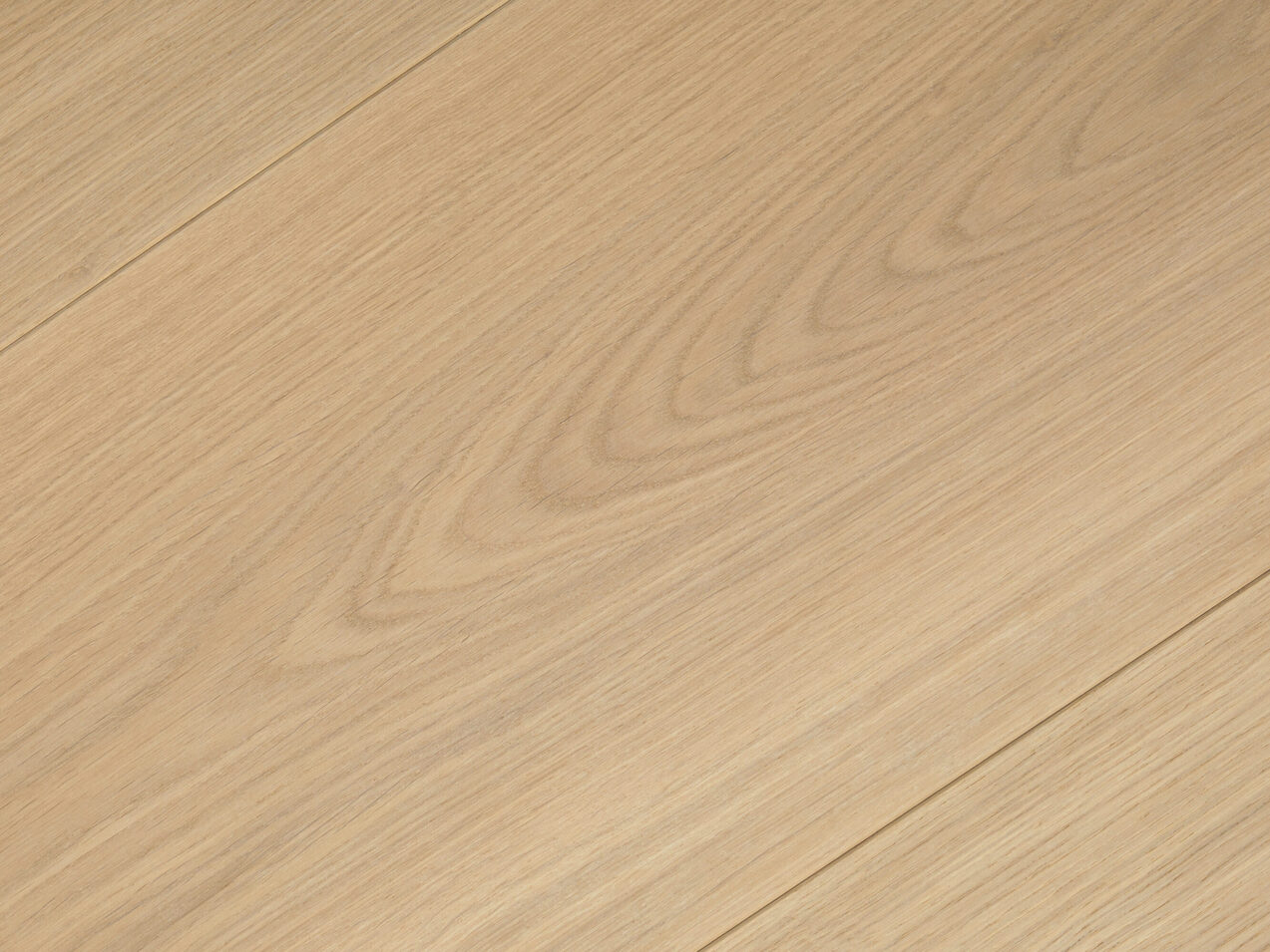 Pure_detail2_Premier 1-bis_240