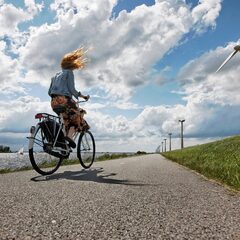 NL landschap fietser