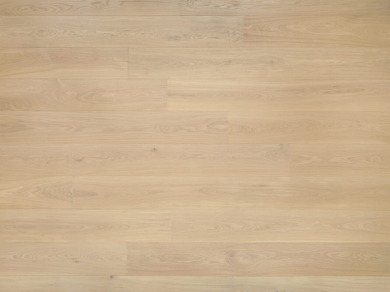 Pure_topdown1_Premier 1-bis_240