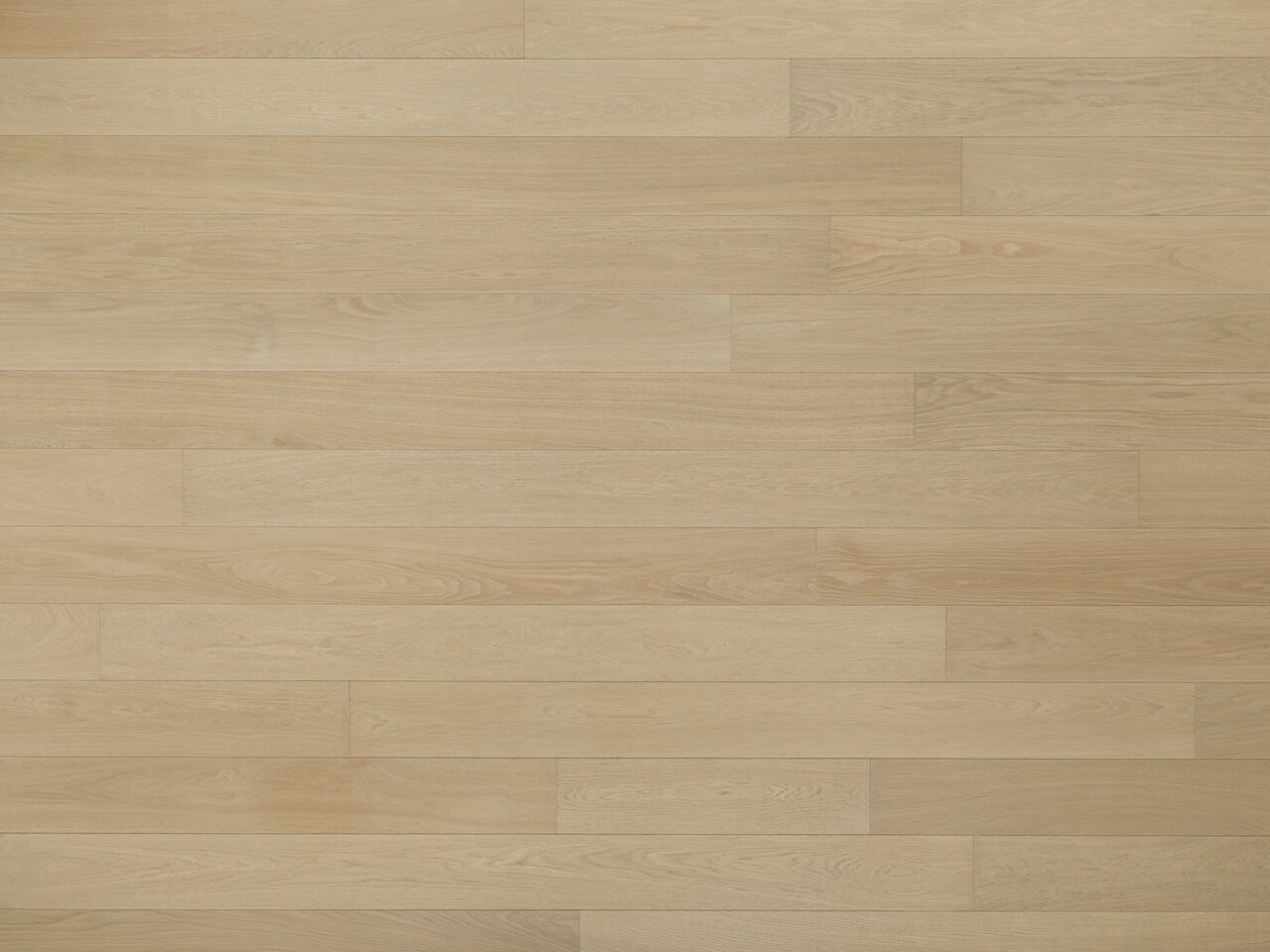 Misty_topdown1_Prime_180