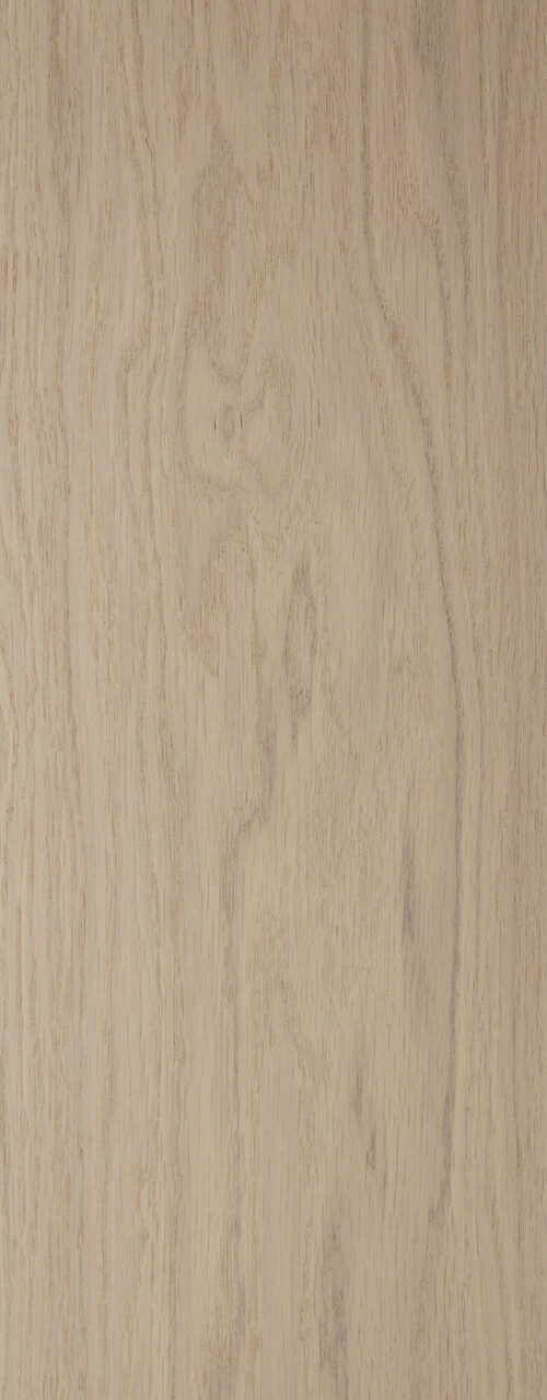Worthy_detail3_Premier 1-bis_180