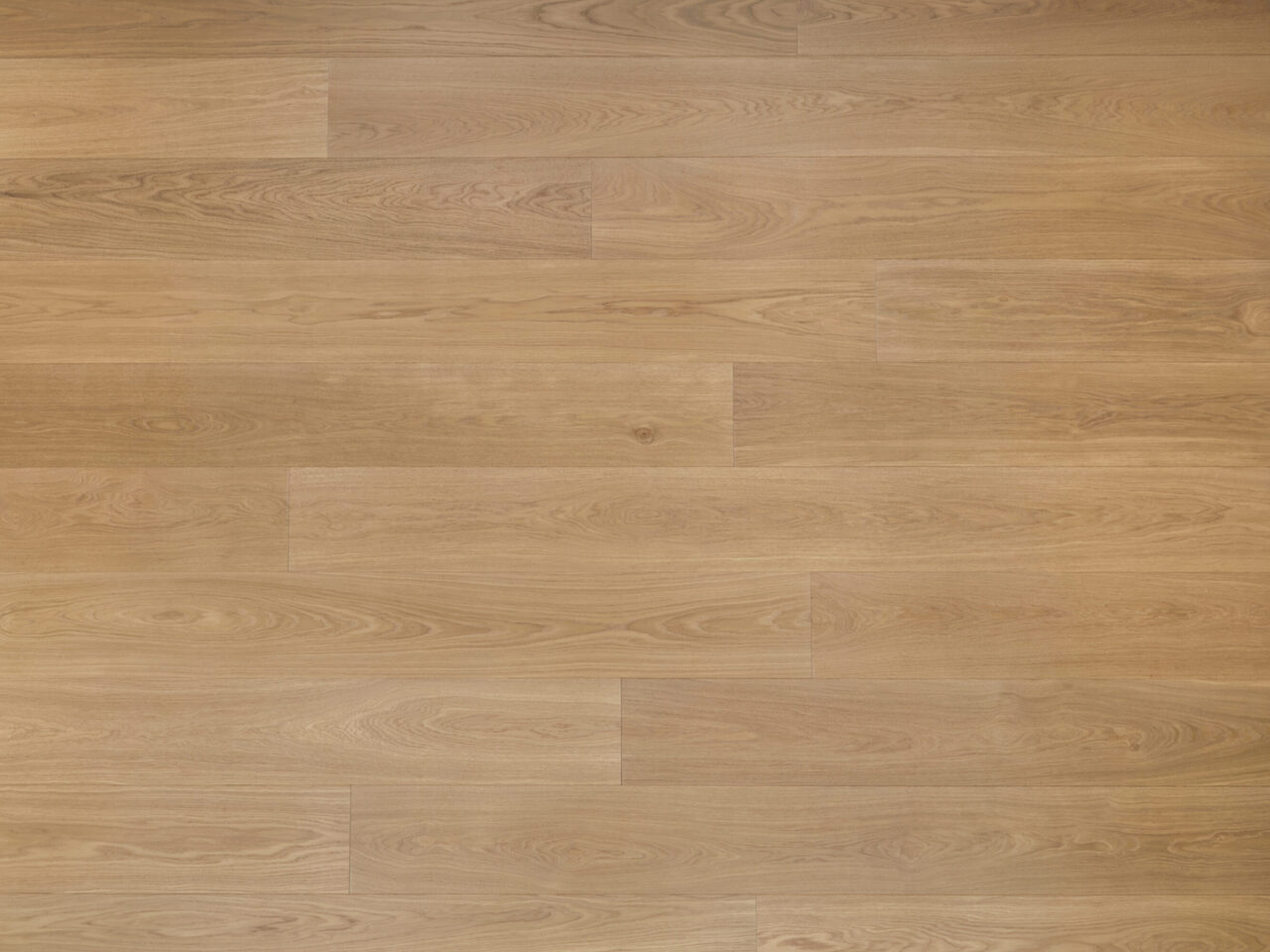 Grotto_topdown1_Premier 1-bis_240