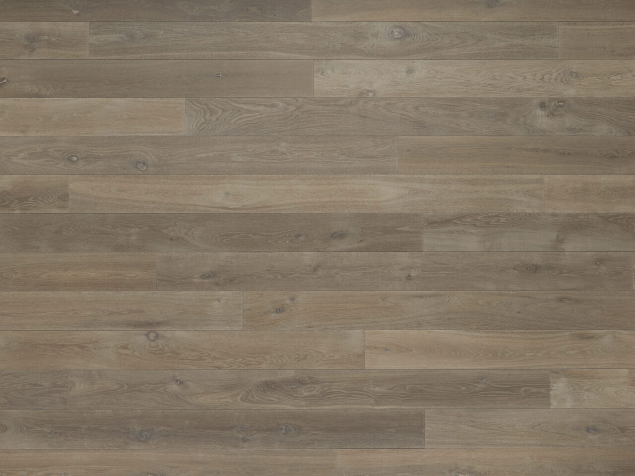 Siva_topdown1_Natural_180