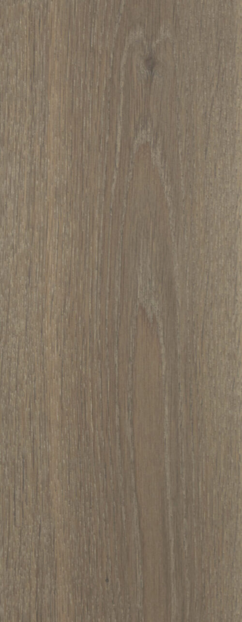 Siva_detail3_Natural_180