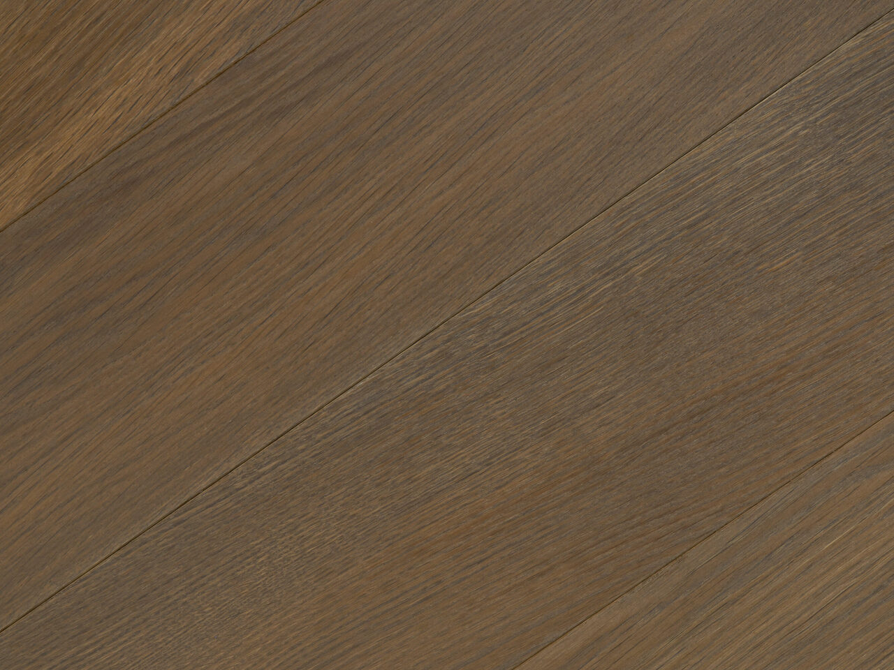 Tempest_detail2_Premier 1-bis_180