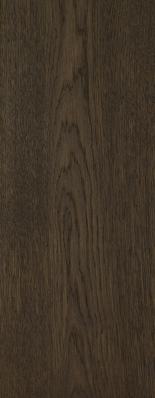 Raven_detail3_RF