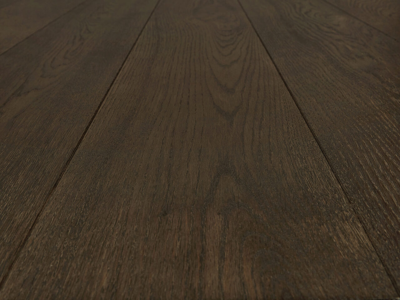 Raven_detail1_RF