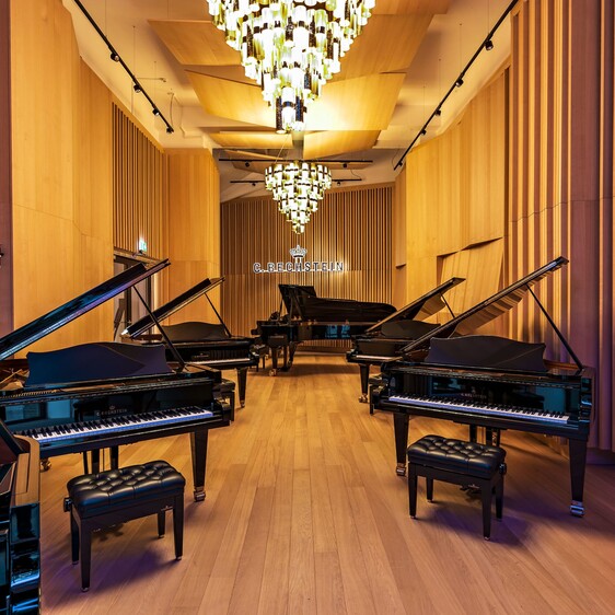 03 Aura-Germany, Hamburg-Bechstein Piano House_RETAIL