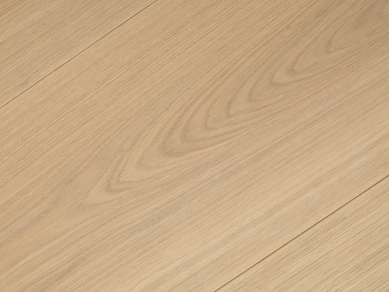 Pure_detail2_Premier 1-bis_240