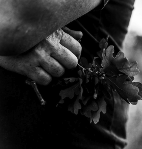 image118