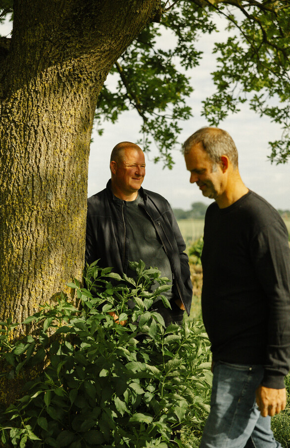 Mark and Robert Hak
