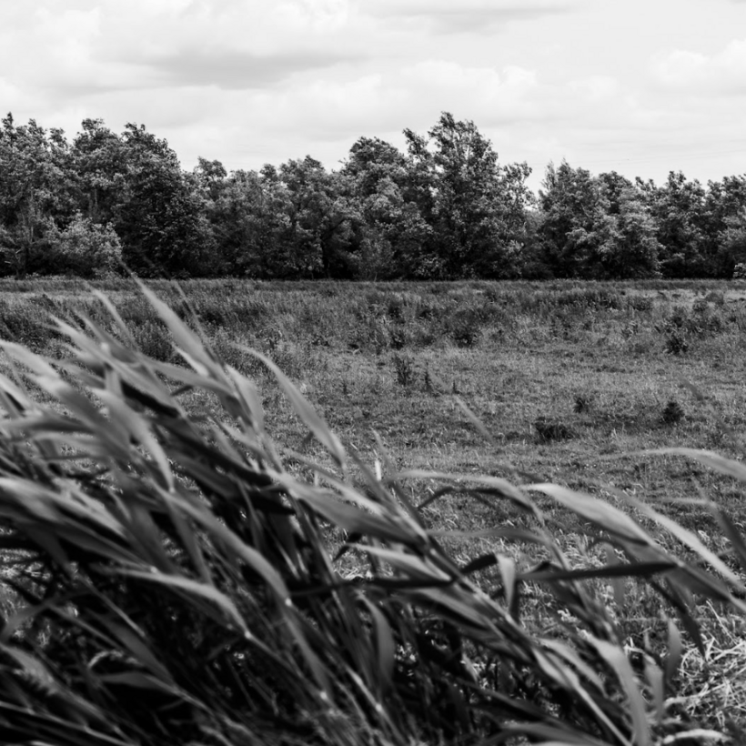image99