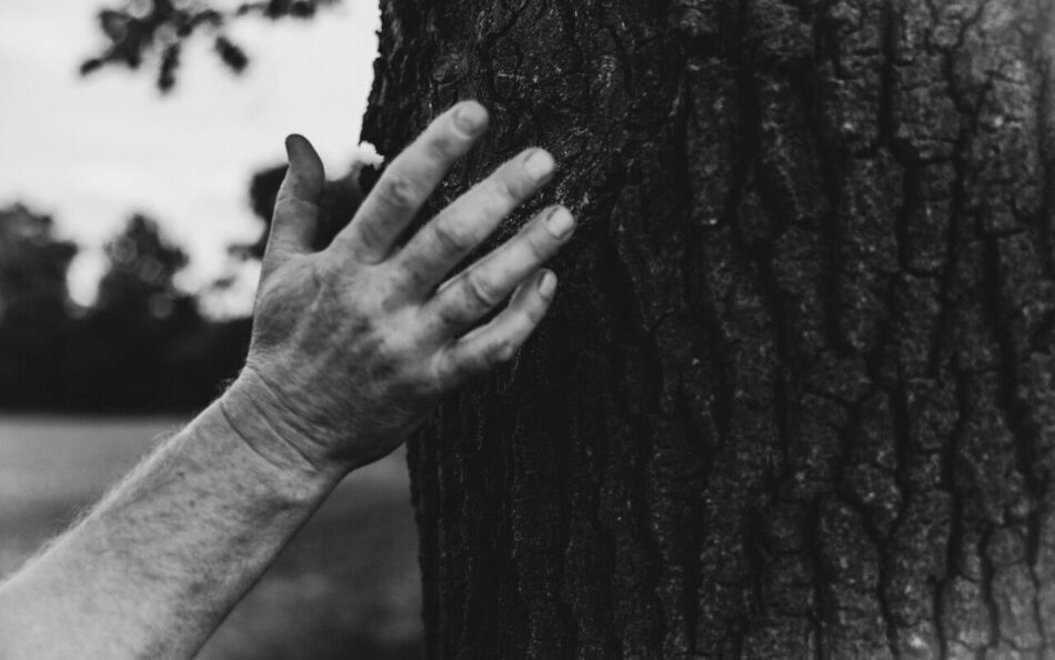 _98A1526 groot