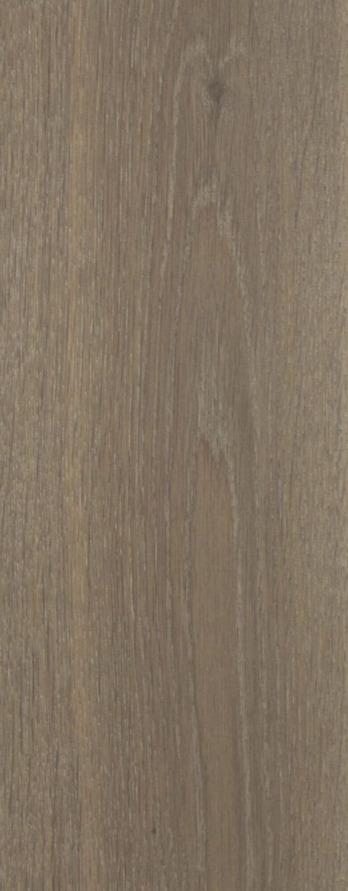 Siva_detail3_Natural_180