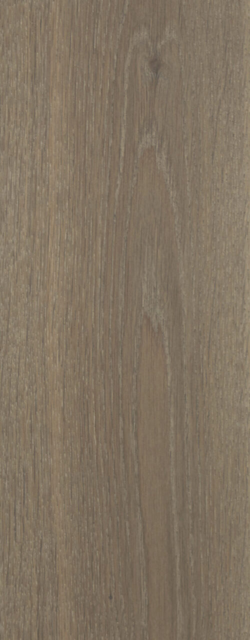 Siva_detail3_Natural_180