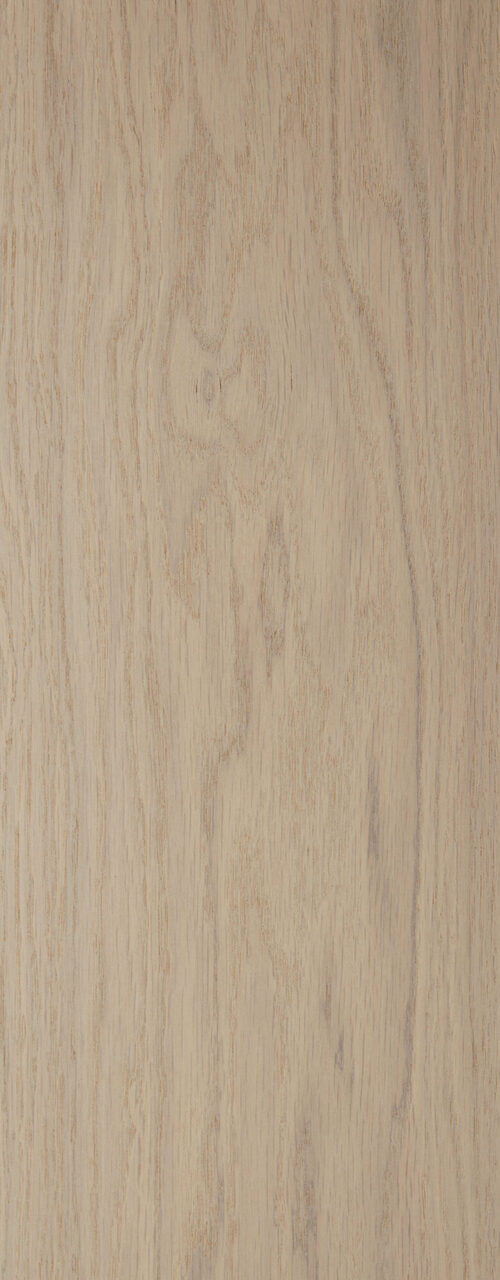 Worthy_detail3_Premier 1-bis_180
