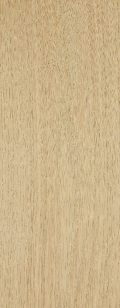 Eden_Premier 1-bis_detail3_180